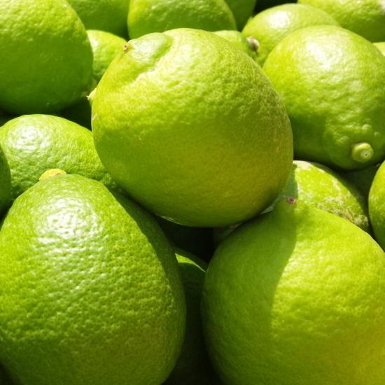 紀州和歌山 ご家庭用 有田 レモン 3kg［先行予約］［MS70］