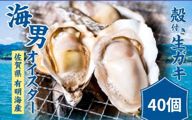 
            海男オイスター殻付き生ガキ40個（カキナイフ付・加熱用）
          