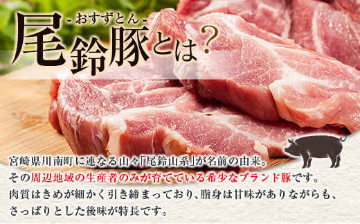 【PREMIUM PORK】 尾鈴豚 ハム ソーセージ 詰め合わせ 合計1,515g 9種 セット 宮崎県産