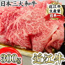 【ふるさと納税】特選近江牛リブ切りおとし300g【冷凍】【冷凍】【牛肉 ランキング 極上 ブランド牛 旨み たっぷり 送料無料 】【国産】