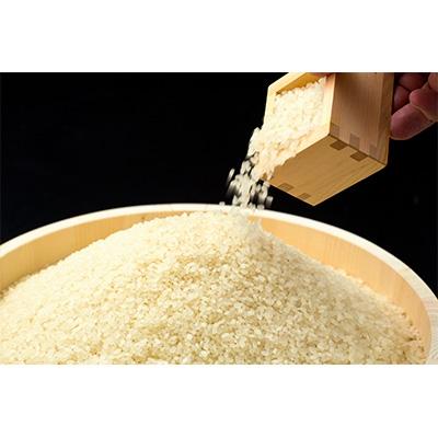 ふるさと納税 対馬市 【令和7年産】先行受付長崎県対馬産「ほたる舞う三根川の米」ひのひかり(10kg×1袋) |  | 01