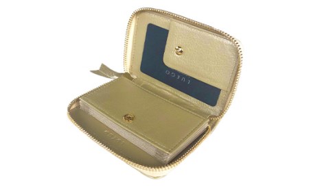 LUEGO Jewel mesh ジュエルメッシュ ジャバラカードケース（ゴールド） F2Y-3297