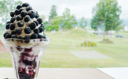 北海道 仁木町産 しろうさファーム 生のブルーベリー 500g