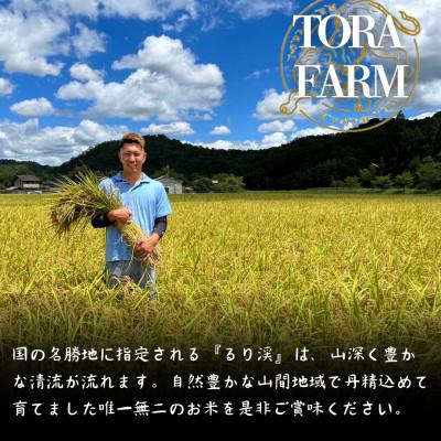 ふるさと納税 南丹市 令和7年産 京都丹波産キヌヒカリ(精米) 10kg |  | 01