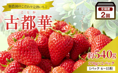 【2回定期便】いちご 完熟 古都華 約540g(270g× 2パック ) 奈良 ブランド イチゴ フルーツ