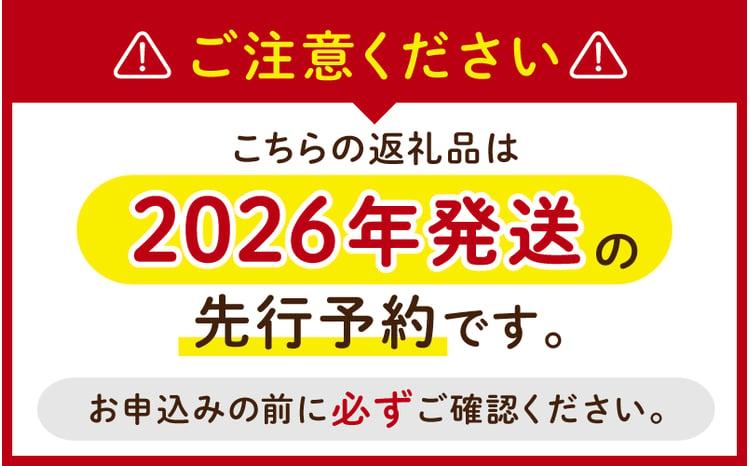  ※2026年の予約です！※ 岡山県産 林ファミリーのシャインマスカット 500g以上（1房）【2026年先行予約】 / ブドウ ぶどう 岡山 真庭市 マスカット 葡萄 果物 フルーツ 新鮮 人気 数量限定 お買い得 家庭用 お試し たっぷり ぶどう専門 【hfbd0009-01】