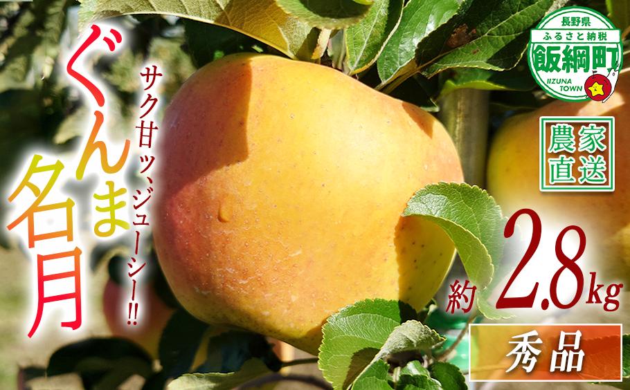 
                  りんご ぐんま名月 秀 2.8kg 信州りんご☆小山園☆ 沖縄県への配送不可 2026年11月中旬頃から2026年11月下旬頃まで順次発送予定 令和8年度収穫分 エコファーマー認定 小山園 信州 果物 フルーツ リンゴ 林檎 長野 予約 農家直送 長野県 飯綱町 [1060]
                