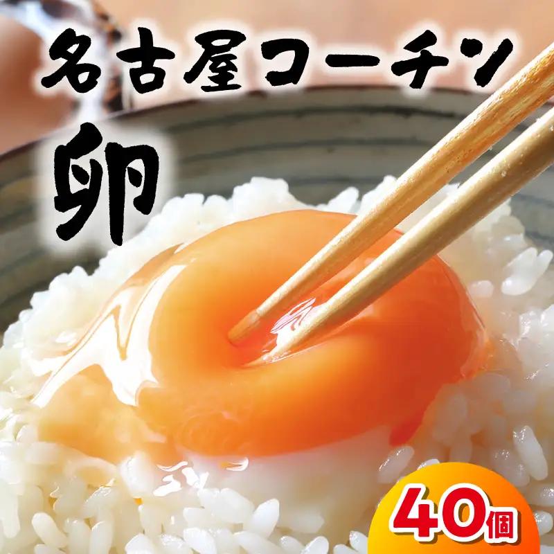 日本を代表する地鶏　名古屋コーチン卵　40個入 ｜ブランド卵 新鮮 阿久比町
