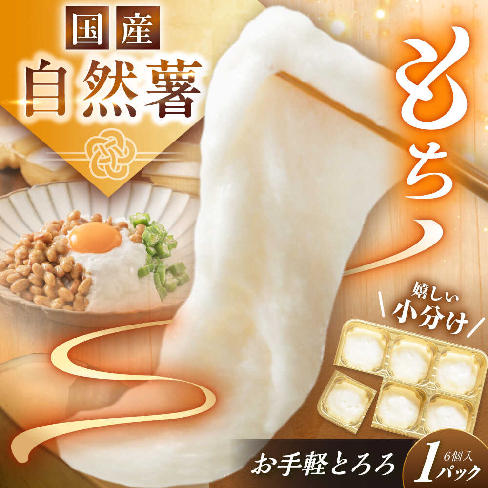 【ふるさと納税】自然薯冷凍とろろ（1パック）180g / 自然薯 とろろ 山芋 やまいも 小分け 冷凍 / 恵那市 / 水戸屋[AUFZ001]
