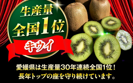 キウイフルーツヘイワード 大玉150g以上 9個 甘熟パック入り・フルーツキャップ付き 愛媛県大洲市/西村農園  キウイ キウイフルーツ 果物 フルーツ くだもの 愛媛県産キウイ[AGDC002] キ