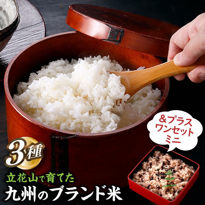 【ふるさと納税】立花山で育てた九州のブランド米・味くらべ＆プラスワンセットミニ.AE224