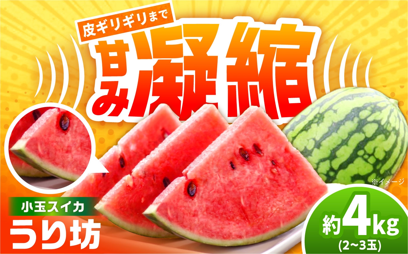 
                  小玉スイカ うり坊 2～3玉（約4kg） ハウス栽培限定 前田ファームから直送　長崎県/吉岡青果 [42ACAF031]
                