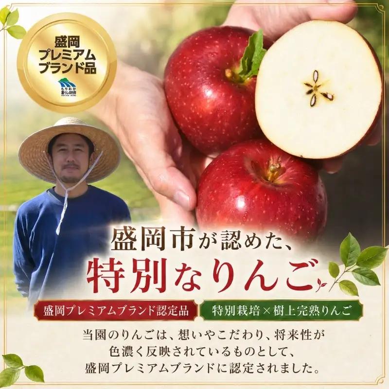 期間限定 先行予約りんご季節便(発送1回)5kg＜10月~12月便＞ りんご 工房きただRKK003