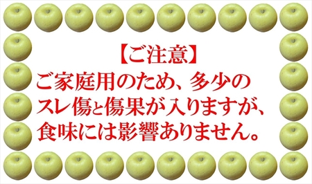 長野県産りんご『はるか』 家庭用 約5kg（18～23玉入）〈2025年11・12月出荷／沖縄・離島は配送不可〉信州 果物 旬彩 先行予約 期間限定 国産 【 りんご 長野県 佐久市 】