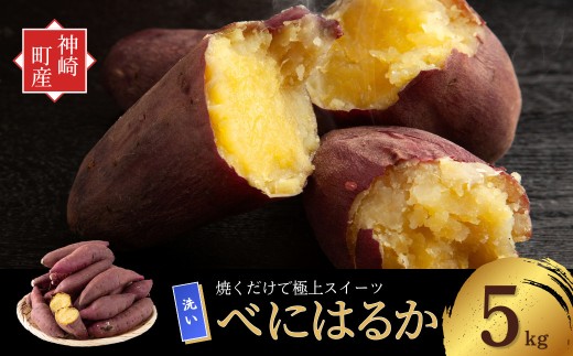 ＜先行予約＞ 神崎町産 べにはるか さつまいも 5kg【洗い・M～Sサイズ混合】(5～12月受付分は翌年1月中旬以降発送)｜さつま芋 焼き芋 焼きいも イモ 芋 紅はるか 訳アリ しっとり 濃厚 蜜 スイートポテト にも ファームおせげん[016-a005]