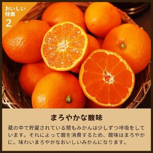 蔵出しみかん中生｜和歌山県海南市下津町の特産品蔵出しみかんの中生品種を産地直送でお届け【2025年1月発送開始】