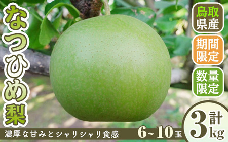 ＜先行予約受付中！8月下旬～10月下旬発送予定＞＜数量限定＞こばやし農園なつひめ梨(計3kg・6～10玉) ふるさと納税 境港市 特産品 ジューシー 完熟 なし ナシ 果物 くだもの フルーツ 旬 【sm-CK002】【こばやし農園】