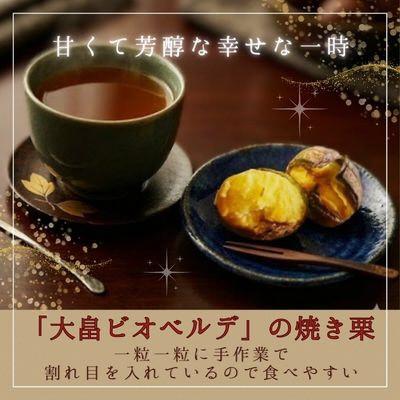 ふるさと納税 綾部市 京都府綾部産 丹波栗焼き栗 計400g |  | 01