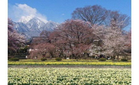 北杜の登山ツアー及び甲斐駒ヶ岳七丈小屋ご利用クーポン券（3000円相当）