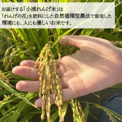 ふるさと納税 日高町 令和8年産(2026年産)新米!小浦れんげ米(にじのきらめき)【玄米】3kg |  | 01