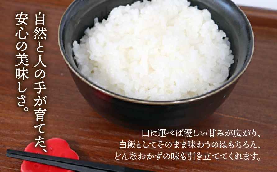 【先行予約】【数量限定】《令和7年産》《新米》T rice Store 岐阜県産 コシヒカリ 5kg | 垂井町産 米 こめ お米 白米 精米 冷めても美味しい米 ブランド米 高品質 安心 安全 リピ