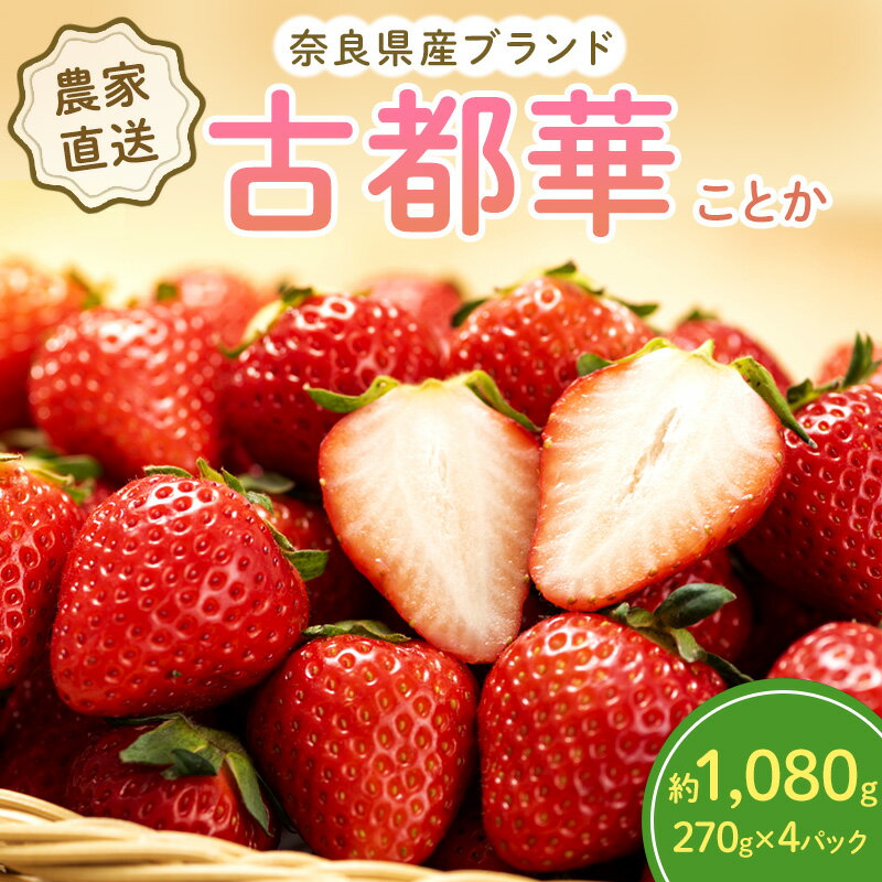 【ふるさと納税】いちご 奈良県産 古都華 約1,080g(270g× 4パック ) セット 高評価 フルーツ 果物 旬 産地直送 農家直送 完熟 旬のフルーツ 旬の果物 お取り寄せ おやつ デザート ことか イチゴ 苺 冷蔵 冷蔵配送 奈良 大和郡山市　お届け：2026年1月中旬～2026年4月上旬