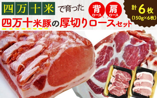 【大人気返礼品】しまんと米豚の厚切りロースセット （150g×6枚）Qjs-04 国産 ぶた肉 豚肉 肉 お肉 国産豚肉 国産ぶた肉 ロース セット 冷凍 ステーキ