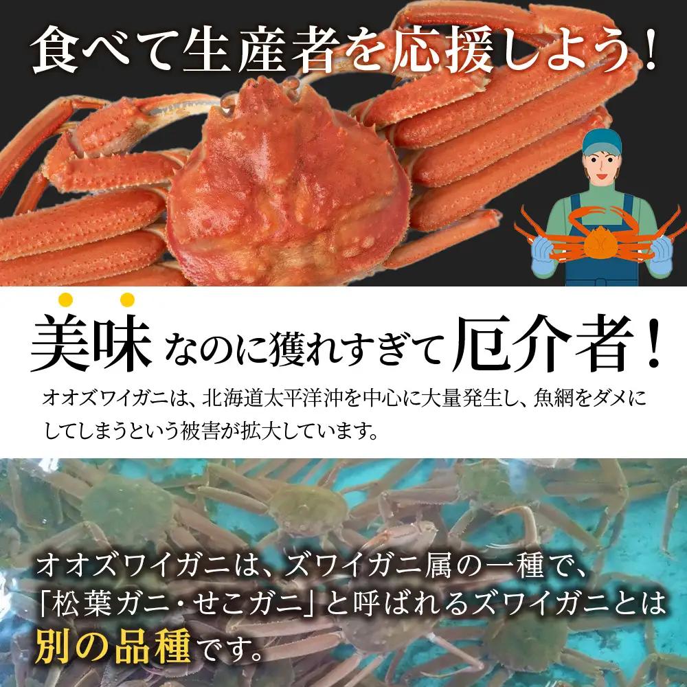 北海道産 オオズワイガニ 300g～350g ×5尾 ＜斉藤水産＞ AM116