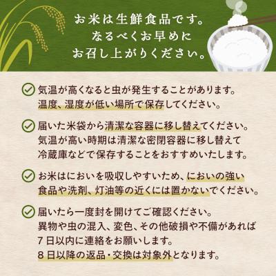 ふるさと納税 石巻市 〈先行受付〉米 令和7年産 <定期便>ヨシ腐葉土米 精米12kg(4kg×3回発送) ひとめぼれ |  | 03