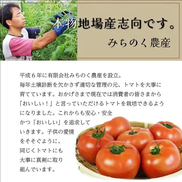 アイラブ七戸トマトジュースE 【200ml×8本】【トマトジュース トマト農家 ストレート びん 無添加 果汁 100% トマト りんか409 国産 青森県産 青森県 七戸町】【02402-0352】
