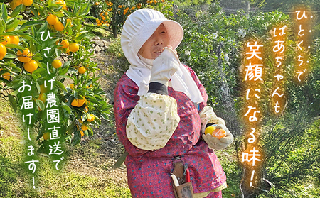 期間限定＜ひさしげ農園直送 西宇和産 温州みかん 約5kg＞ 早生 温州みかん 温州ミカン 果物 くだもの みかん ミカン 柑橘 フルーツ 柑橘 果実 国産 5キロ 愛媛県産 特産品 ひさしげ農園 愛