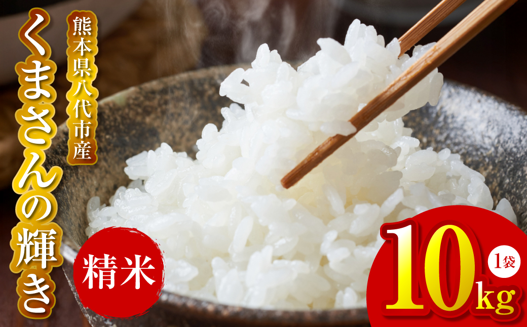 【先行予約】《令和7年産》 くまさんの輝き 精米10kg 熊本県 八代市産 米 お米 精米  国産 白米 【2025年11月下旬より順次発送】