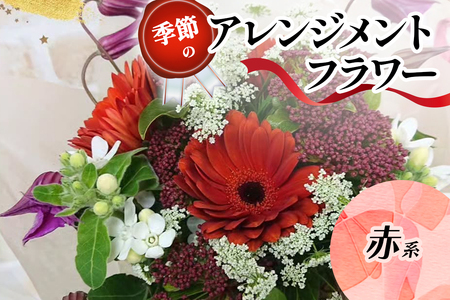 季節のアレンジメントフラワー赤系｜赤系 [0208]