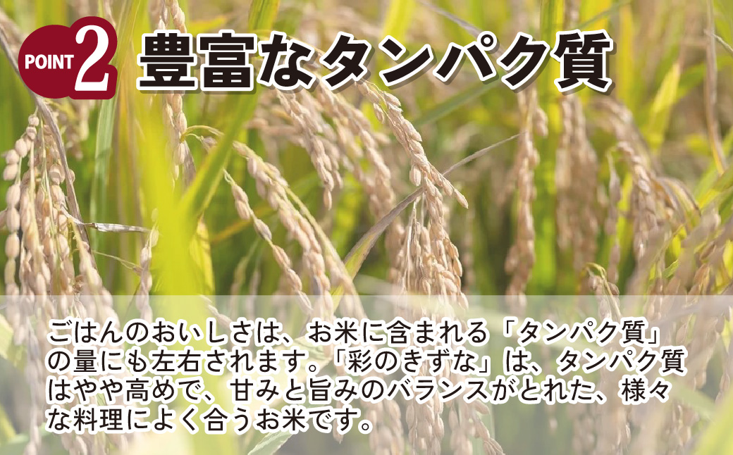 米 新米【令和7年産米】埼玉県ブランド米 5kg 彩のきずな