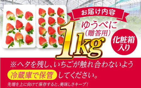 【贈答用】化粧箱入り 高級大粒いちご ゆうべに 1kg【熊本ベリー】 熊本県産 くだもの イチゴ 苺 国産ゆうべにいちご 九州 [ZER013]