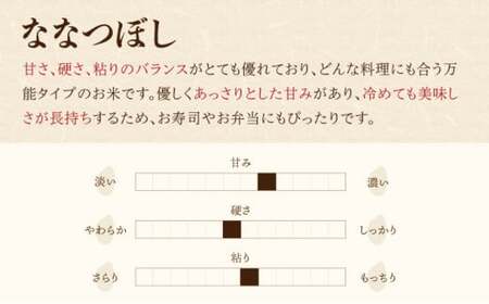 2026年5月発送 令和7年産 ななつぼし 白米 20kg (真空パック) 一括発送 【プレミアム北彩香】| 妹背牛産 北海道 米 道産 特A