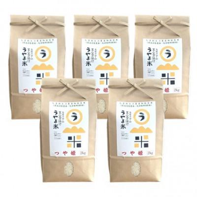 ふるさと納税 雲南市 【無洗米】神話の里/吉田町「うやま米」つや姫 10kg(2kg×5) |  | 01