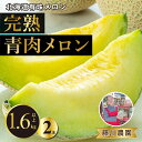 【ふるさと納税】北海道産 有珠メロン 2玉 セット 青肉 Lサイズ 1.6kg以上×2玉 ツル付き グリーンメロン 果物 めろん フルーツ くだもの 完熟 旬 ご褒美 ギフト お祝い 産地直送 お取り寄せ 北海道 藤川農園 送料無料 伊達　伊達市　お届け：2024年7月中旬～9月上旬まで
