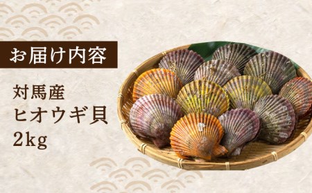対馬 2枚貝 ヒオウギ 貝 2kg [WAD002] BBQ ひおうぎ貝 新鮮 浜焼き 貝類 