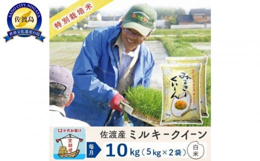 【新米予約 12か月定期便】佐渡島産ミルキークイーン 白米10Kg 令和7年 特別栽培米