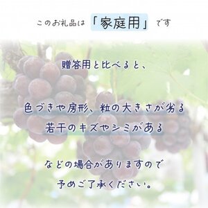 【2026年先行受付】岡山　花笑み農園の『ニューピオーネ』家庭用　約2kg(3～5房)　P-2家【配送不可地域：離島】【1692569】