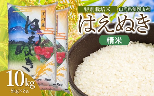 【令和8年産 新米】斎藤農場の特別栽培米 はえぬき 精米 10kg（5kg×2袋） 山形県鶴岡市 [K-875]  | 10キロ 米どころ 庄内米 ブランド米 米 コメ こめ 精米 ご飯 ごはん 美味しい お取り寄せ 農家直送 東北 山形 鶴岡市 国産 おすすめ 人気 返礼品