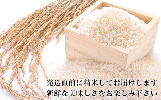 令和6年産＜定期便＞ヨシ腐葉土米  精米24kg（4kg×6回発送）ひとめぼれ