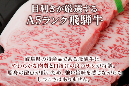 [A5等級] 飛騨牛サーロインステーキ400g(200g×2枚) [0834]