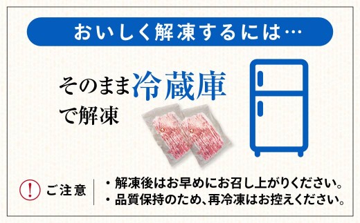 豚肉 極上の脂の甘み やわらか スライス肉セット 1.2kg ｜受賞豚 ロース バラ肉 肩ロース モモ肉 肉じゃが 生姜焼き お弁当 養豚農家 直送 冷しゃぶ 冷凍 しゃぶしゃぶ 小分け おかず 無添加 安全 安心 子ども 食べ比べ 個包装 贈答 焼肉 群馬県 前橋市