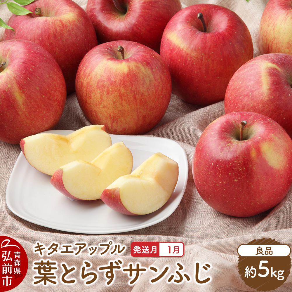 【26年1月発送】りんご 葉取らずサンふじ【良品】約5kg キタエアップル