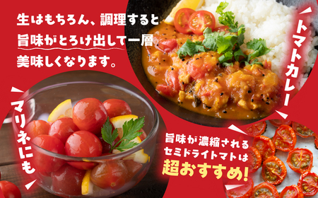 グランプリ受賞 完熟 出汁推し実 ミニトマト 1.5kg 