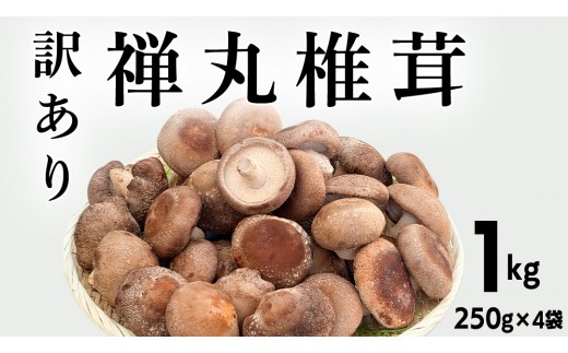
                  【 訳あり/不揃い 】禅丸椎茸 1kg (250g×4パック) 【岩手県紫波町産】 椎茸 しいたけ 生しいたけ 不揃い 小分け ワケアリ 不揃い 家庭用 シイタケ きのこ キノコ 1kg 250g 生 国産 岩手県 紫波町 食材 (FG001)
                