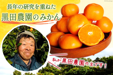 みかん 5kg【期間限定発送】コクのある甘さ うまぁ〜い！！青島晩生温州みかん S・M・L いずれか [黒田農園 宮崎県 日向市 452060137] 果物 フルーツ ミカン 蜜柑 柑橘
