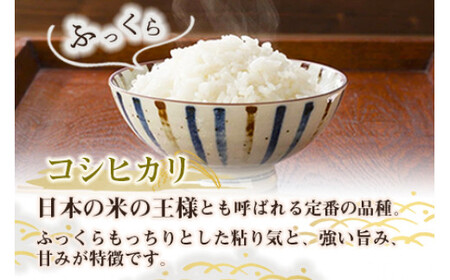 ＜令和5年度 特別栽培米「粋」コシヒカリ 10kg＞ ※入金確認後、翌月末迄に順次出荷します。【c855_kh_x4】 米 こしひかり